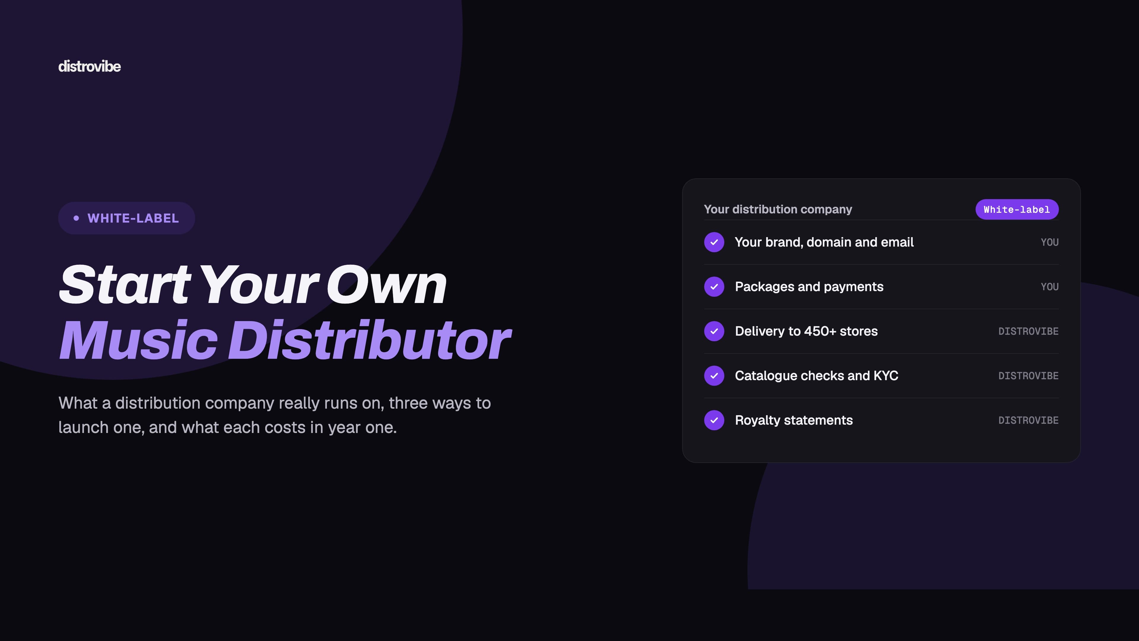 How to Start a Music Distribution Company in 2026: Components, Costs and 3 Routes